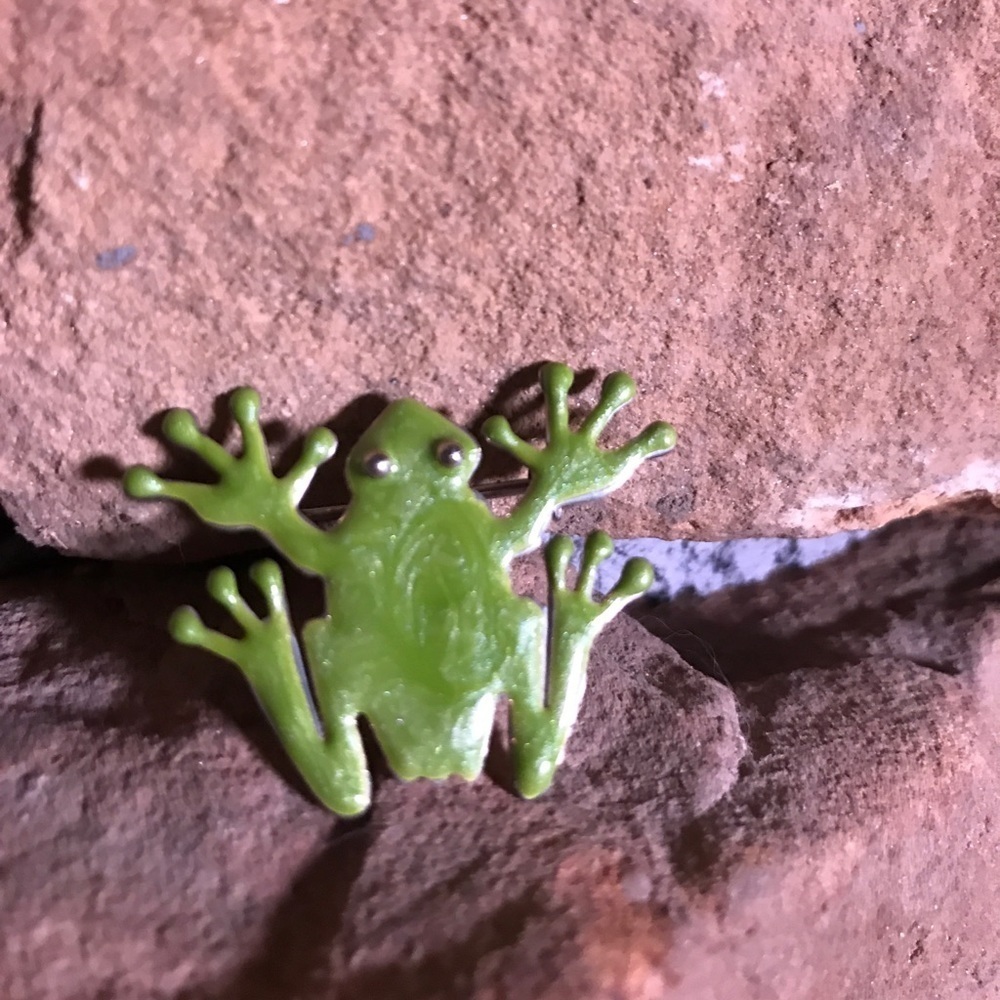Enamel on Sterling Silver Frog Brooch